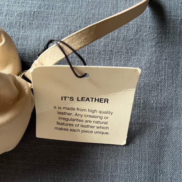 NWT ZARA Micro dumpling/cloud leather crossbody - Picture 4 of 4